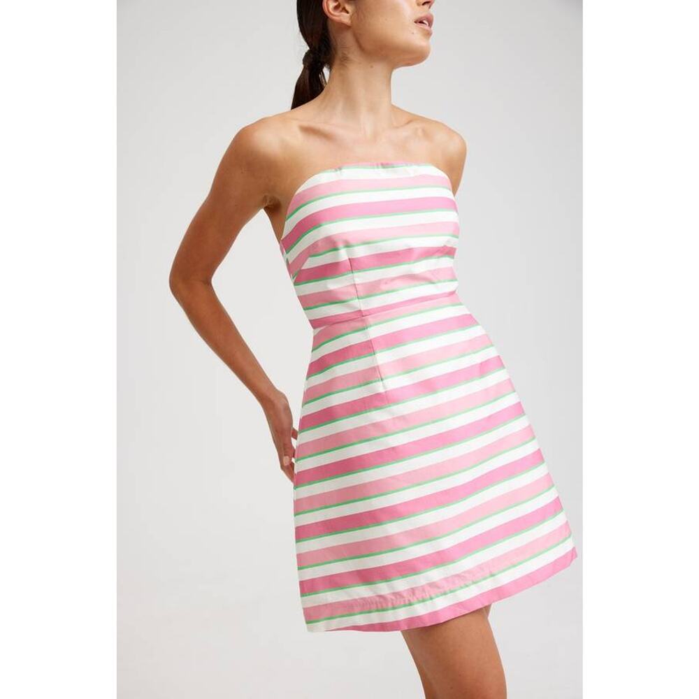 Aston Studio Beatrix Strapless Dress in Arisa Anthurium Stripe 10